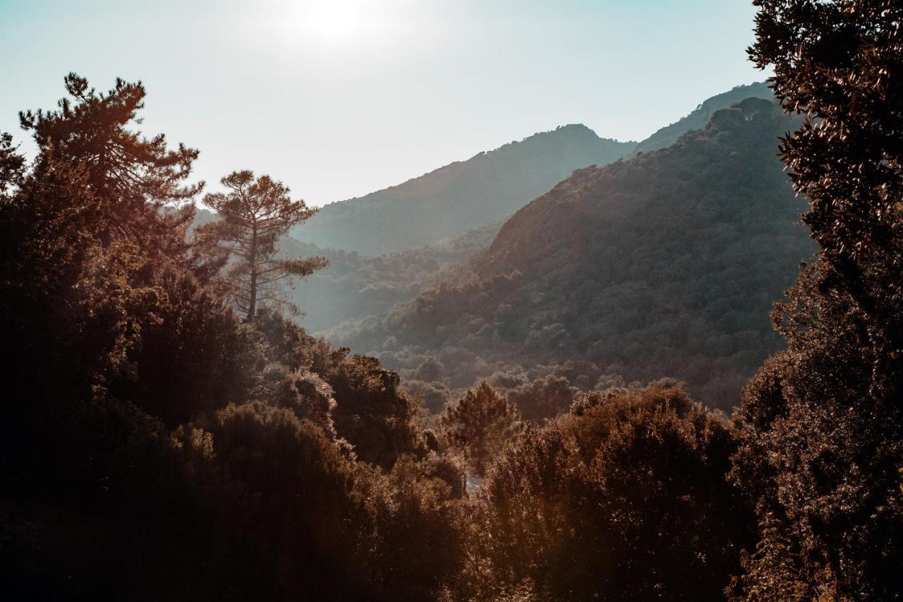 L'Aiglon Apart otel Serriera  Dış mekan fotoğraf