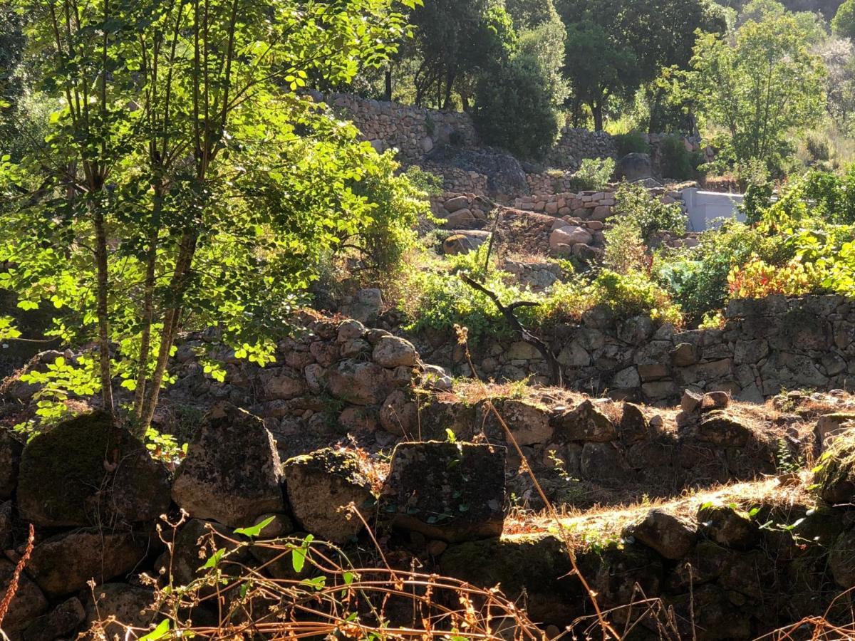 L'Aiglon Apart otel Serriera  Dış mekan fotoğraf
